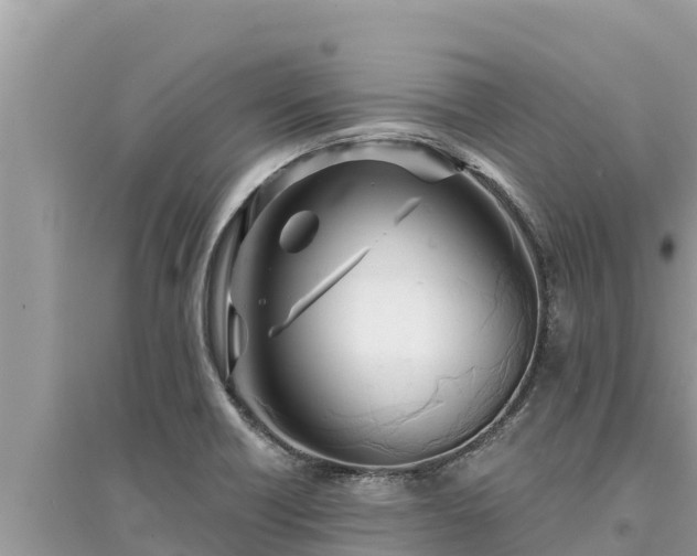 X0000095551418200712211400