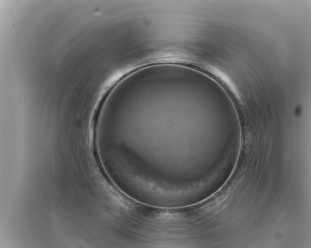 X0000095551419200712211400