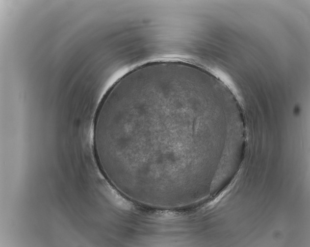 X0000095551420200712211400