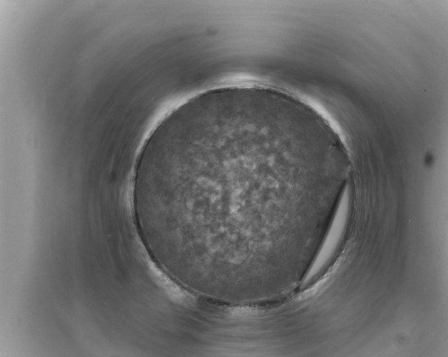 X0000095551421200712211400