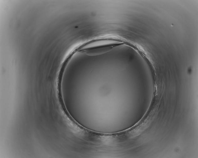 X0000095551422200712211400