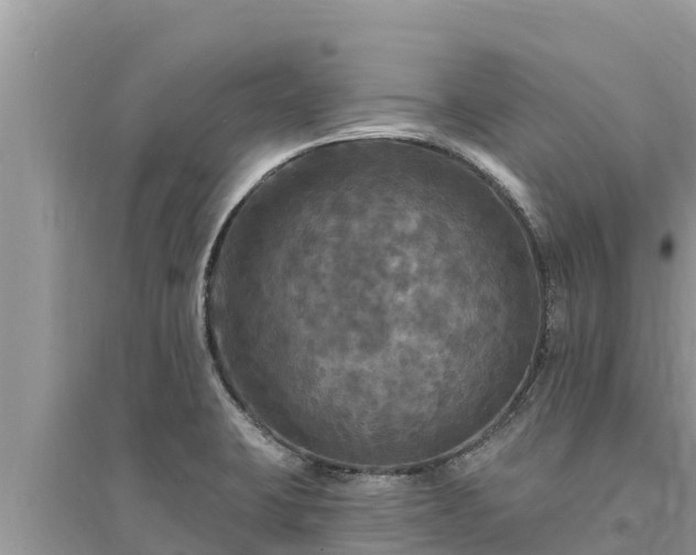 X0000095551423200712211400