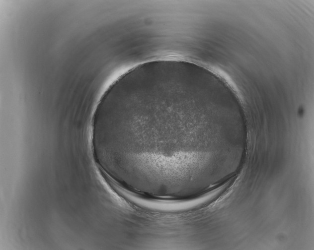 X0000095551424200712211400