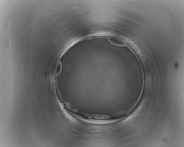 X0000095551425200712211400