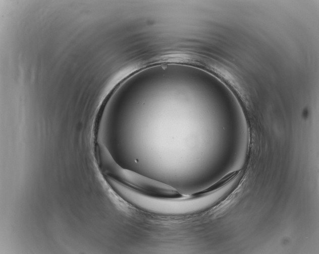 X0000095551426200712211400