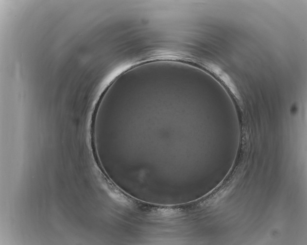 X0000095551427200712211400