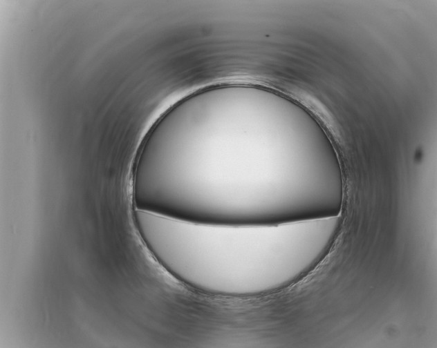 X0000095551428200712211400