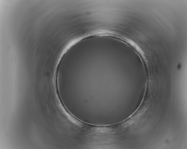 X0000095551429200712211400