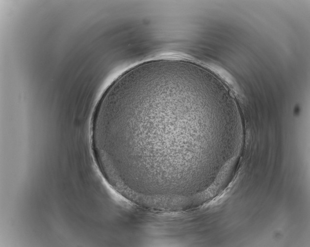 X0000095551430200712211400