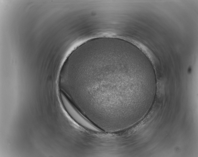 X0000095551432200712211400