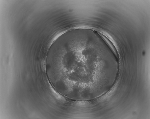 X0000095551433200712211400