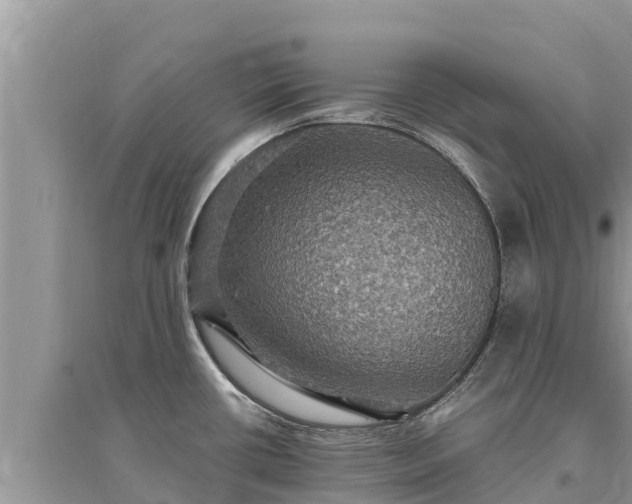 X0000095551434200712211400