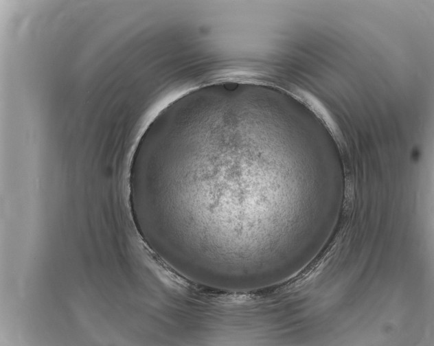 X0000095551435200712211400