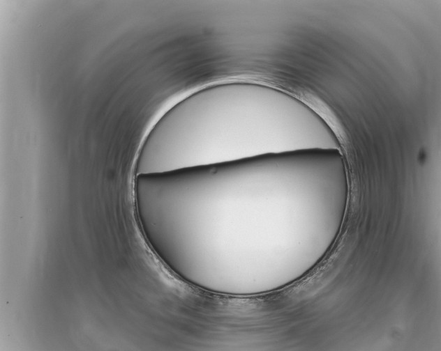 X0000095551436200712211400