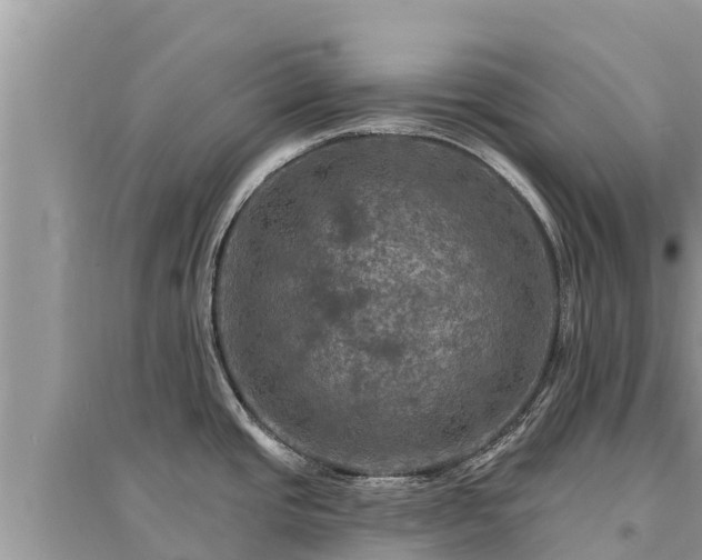 X0000095551437200712211400