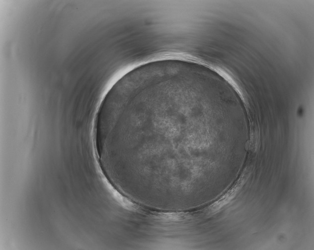 X0000095551438200712211400