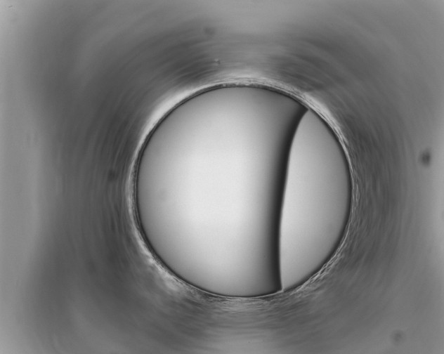 X0000095551440200712211400