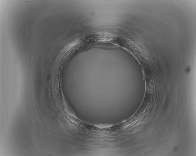 X0000095551441200712211359