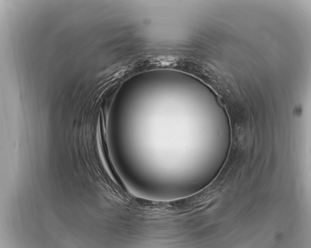 X0000095551442200712211359