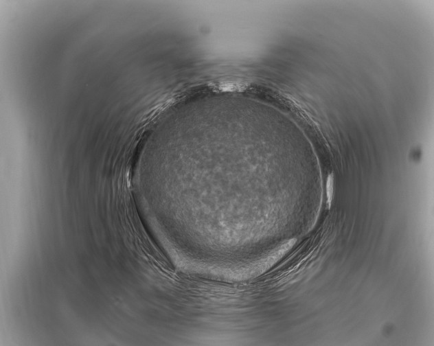 X0000095551443200712211359