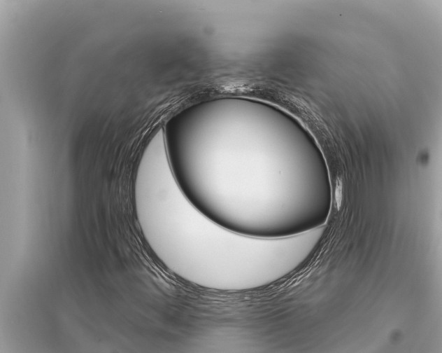 X0000095551444200712211359