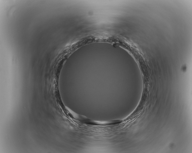 X0000095551445200712211359