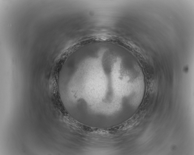 X0000095551446200712211359