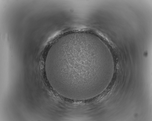 X0000095551447200712211359