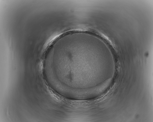 X0000095551448200712211359