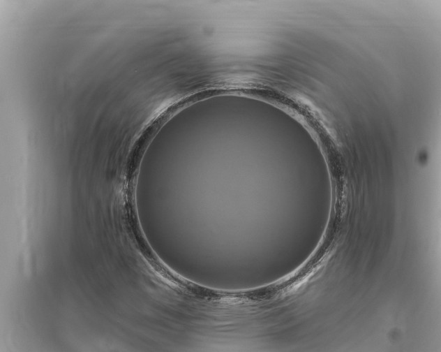 X0000095551449200712211359