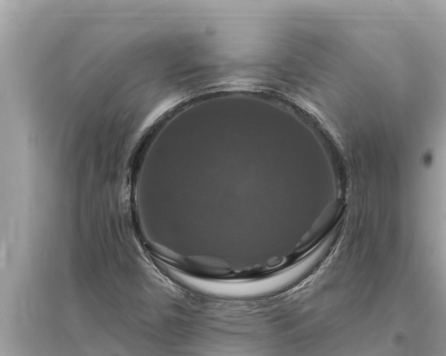 X0000095551450200712211359