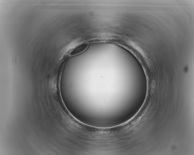 X0000095551451200712211359