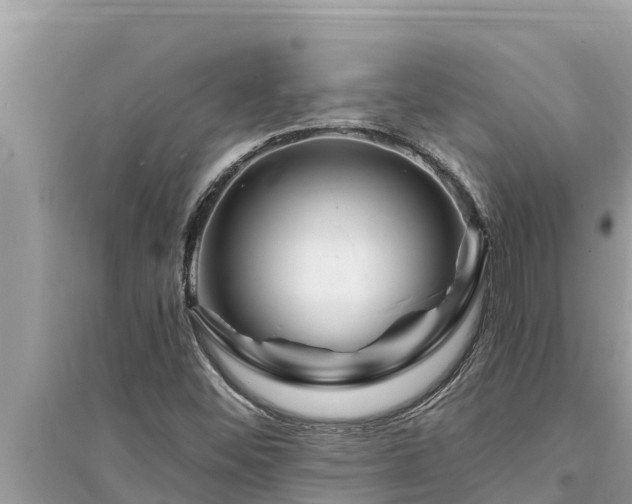 X0000095551452200712211359