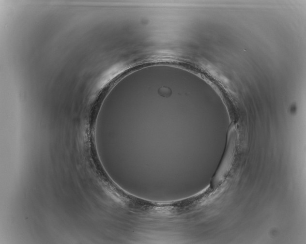 X0000095551453200712211359