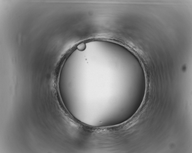 X0000095551454200712211359