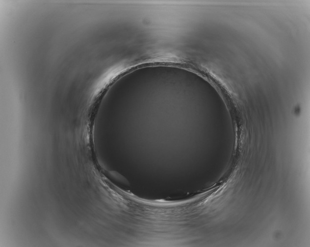 X0000095551455200712211359