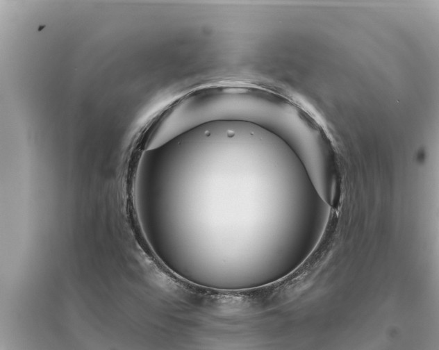 X0000095551456200712211359