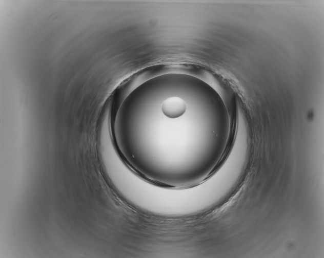 X0000095551457200712211359