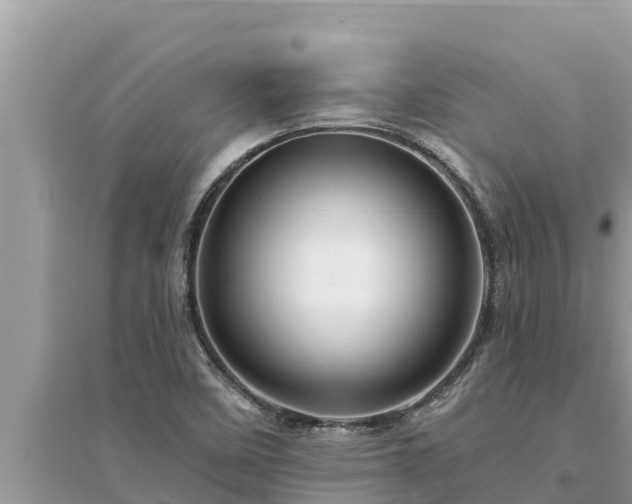 X0000095551458200712211359