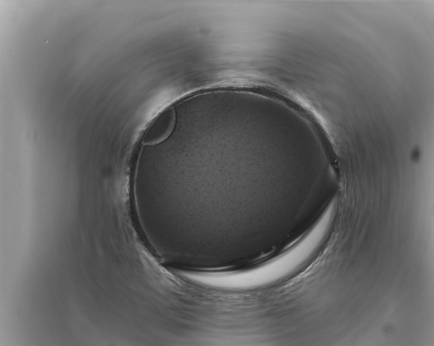 X0000095551459200712211359