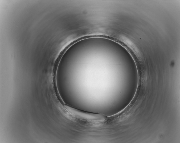 X0000095551460200712211359