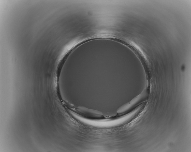 X0000095551461200712211359