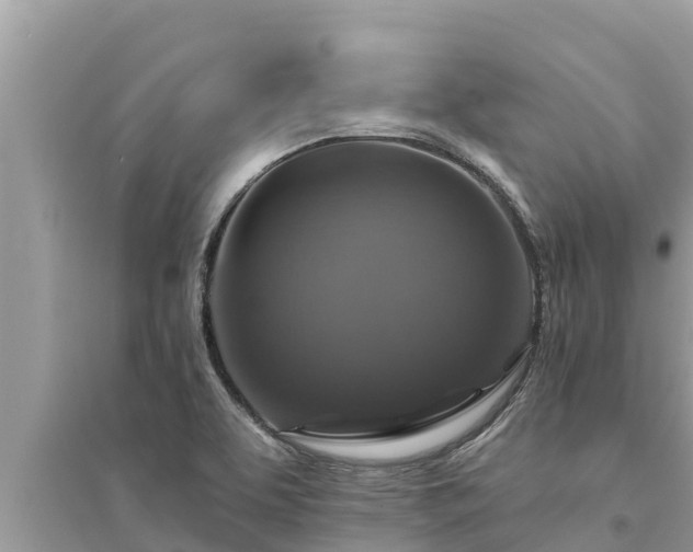 X0000095551463200712211359