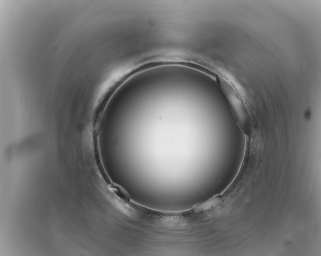 X0000095551464200712211359