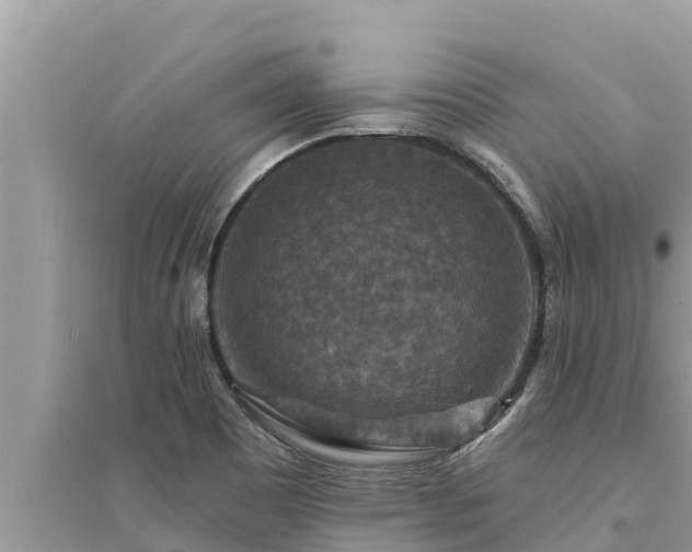 X0000095551465200712211359