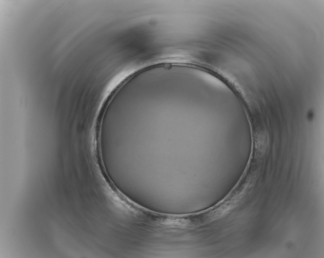 X0000095551466200712211359