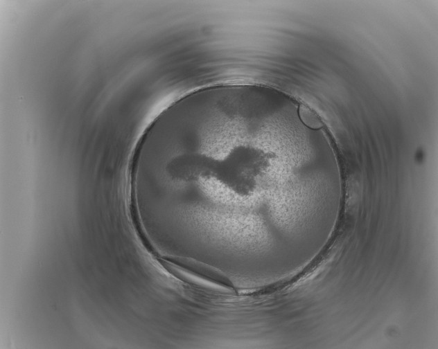 X0000095551467200712211359