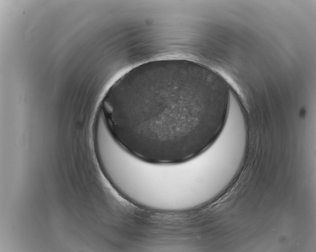 X0000095551468200712211359