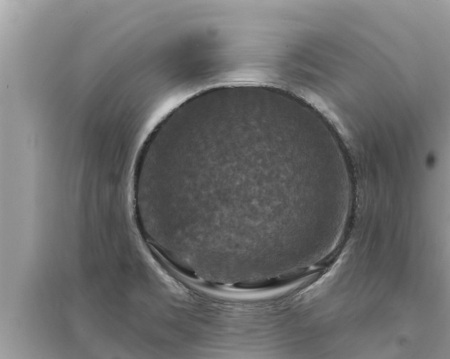 X0000095551469200712211359