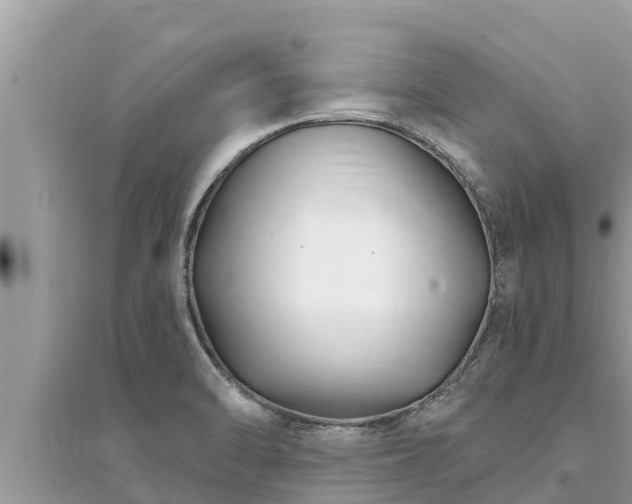 X0000095551470200712211359